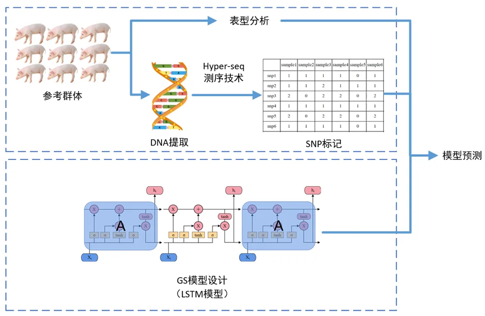 深度学习GS育种