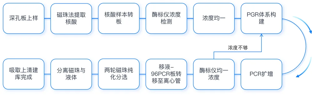 Hyper-seq建库流程