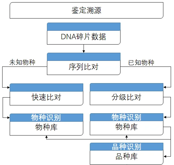 百香果基因组研究