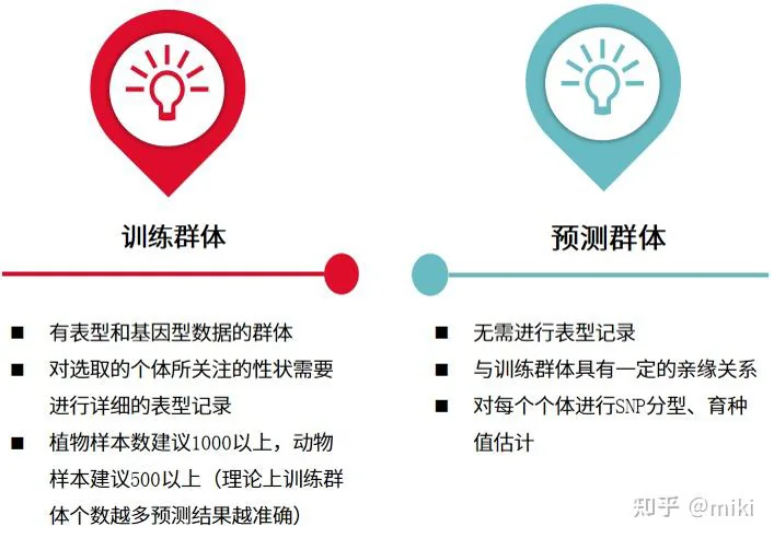 训练群体和预测群体选择